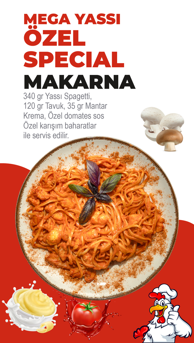 Mega Yassı Ürün 3